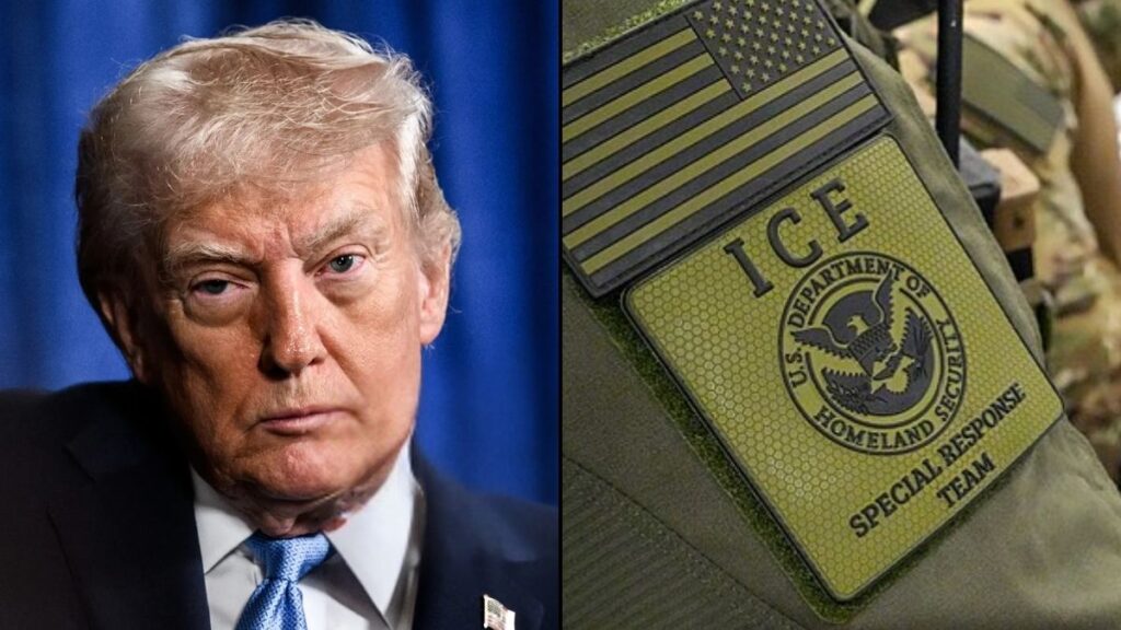 Donald Trump's plan to deploy ICE at Airports to help TSA results in backlash.