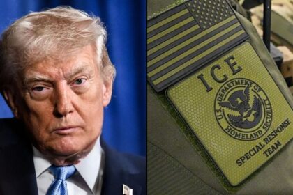 Donald Trump's plan to deploy ICE at Airports to help TSA results in backlash.