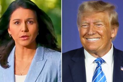 Tulsi Gabbard (L) speaks during her 2020 presidential campaign, when she warned against Donald Trump's (R) war with Iran