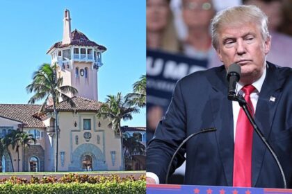 Emily Gregory, Donald Trump,