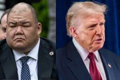 Steven Cheung-Donald Trump