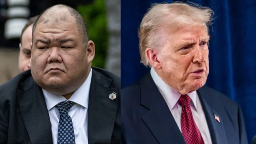 Steven Cheung-Donald Trump