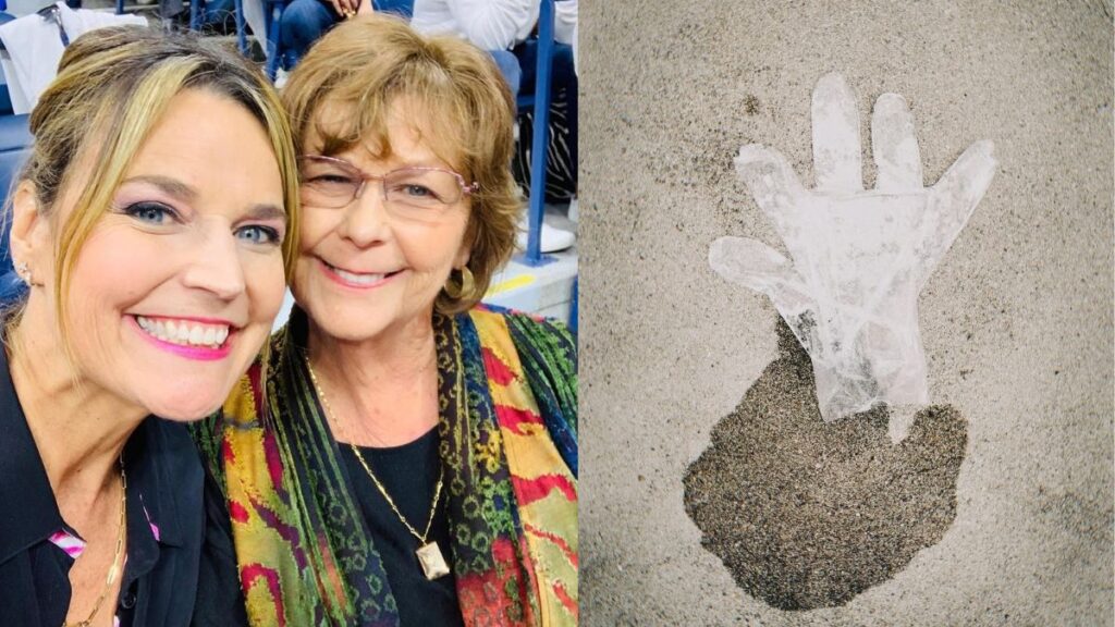 Nancy Guthrie missing case