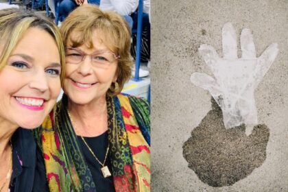 Nancy Guthrie missing case