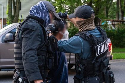 ICE-Nashville journalist