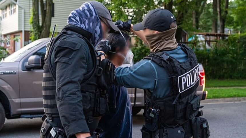 ICE-Nashville journalist