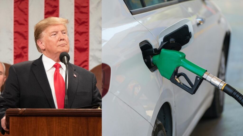 Oil prices-Iran war-Donald Trump