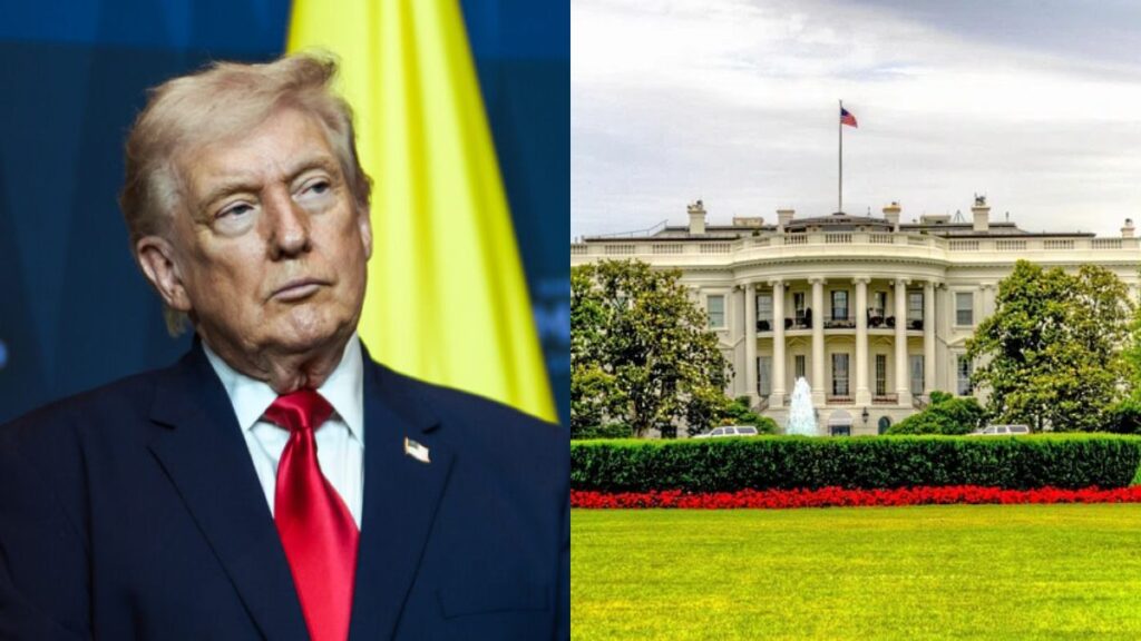 White House UFC fight backed by Donald Trump faces a sudden permit hurdle. (left- Wikimedia Commons) and (right- rawpixel).