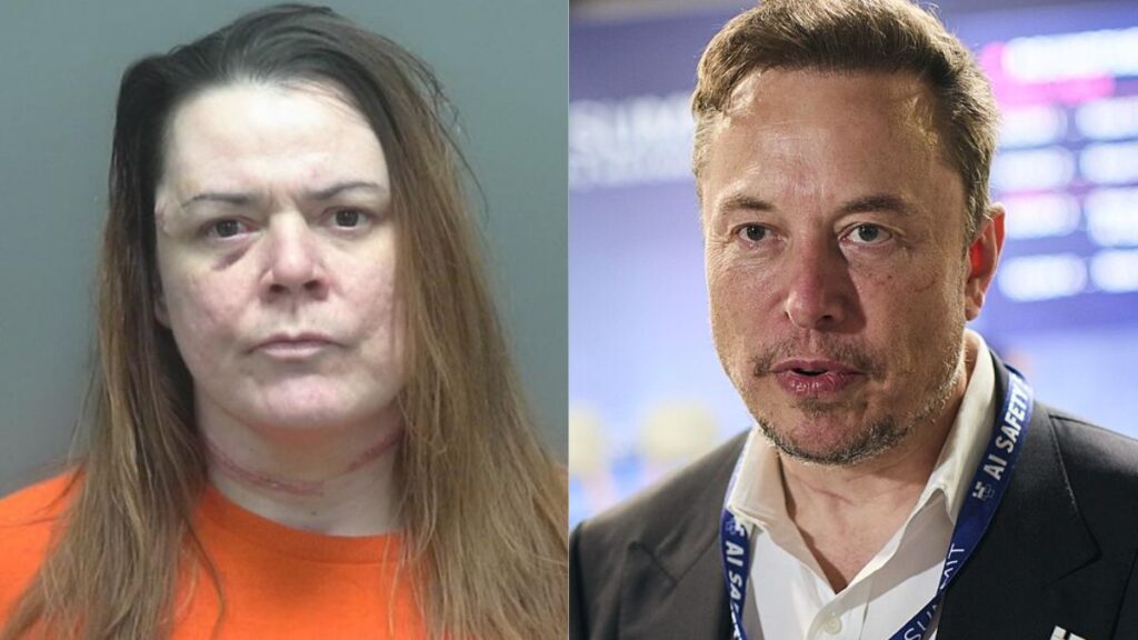 A Wisconsin mom killed her daughter to save her from Elon Musk and then attempted to kill herself.