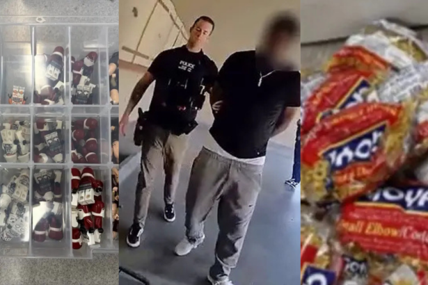 Irvine, California man arrested for stealing LEGO sets by replacing the building bricks with pasta.