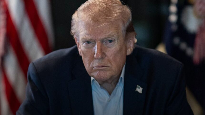 Donald Trump’s pardoned rioteers lodged for partaking in crimes yet again