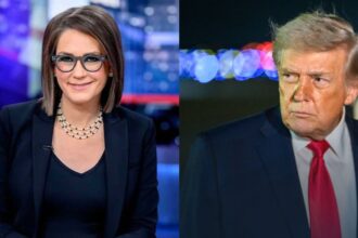 Donald Trump goes off on Fox News host Jessica Tarlov after she details his low poll numbers