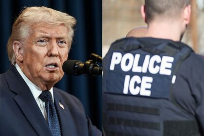 Trump likes the idea of renaming ICE to NICE.