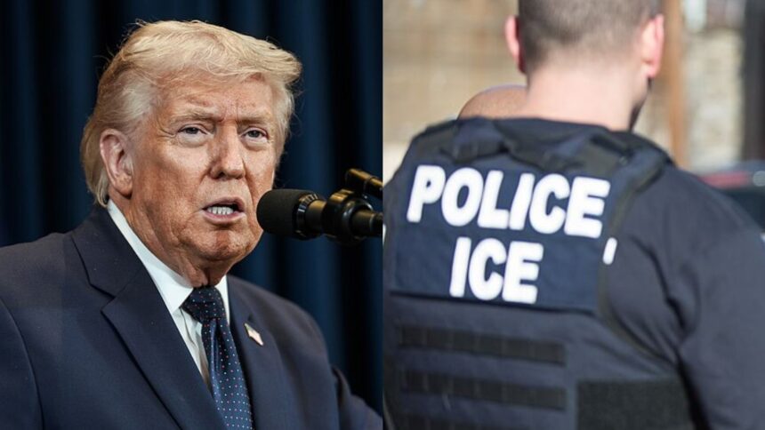 Trump likes the idea of renaming ICE to NICE.