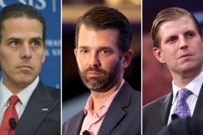 Hunter Biden has challenged Donald Trump Jr. and Eric Trump to a cage match