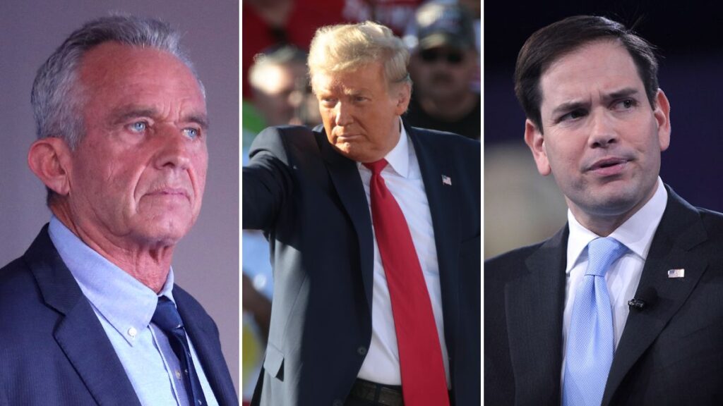 Members of Donald Trump's second-term Cabinet at the White House include RFK Jr. and Marco Rubio