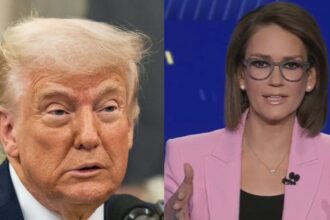 Donald Trump went on an angry rant over Fox News show host Jessica Tarlov.