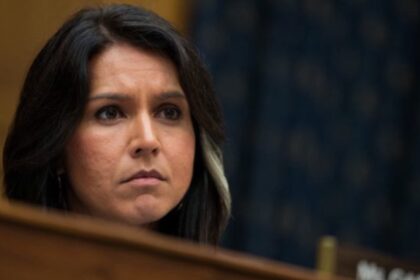 Tulsi Gabbard may be next Trump admin to get fired.
