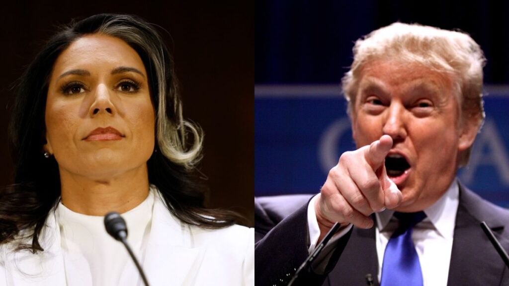 Tulsi Gabbard might be fired