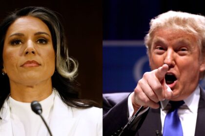 Tulsi Gabbard might be fired