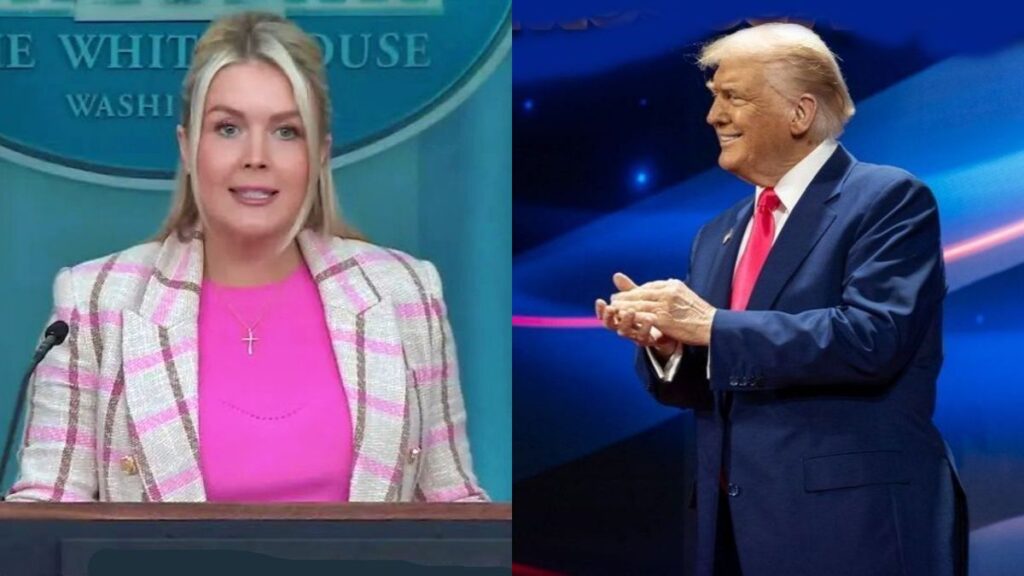 Some critics think that what Karoline Leavitt is promoting with mental illness care is just what President Donald Trump needs.