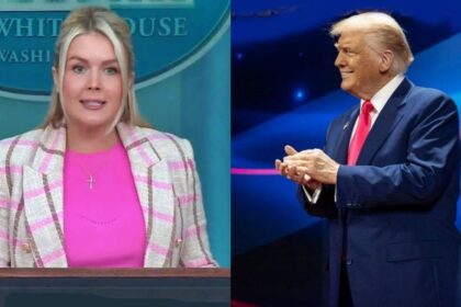 Some critics think that what Karoline Leavitt is promoting with mental illness care is just what President Donald Trump needs.