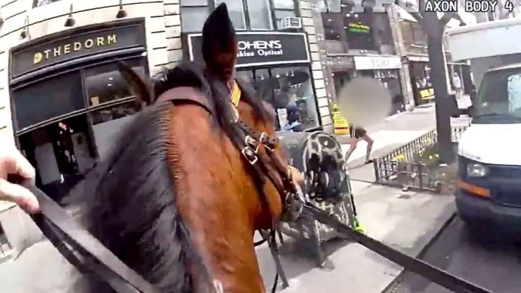 An NYPD mounted officer chased a thief through Manhattan on horseback
