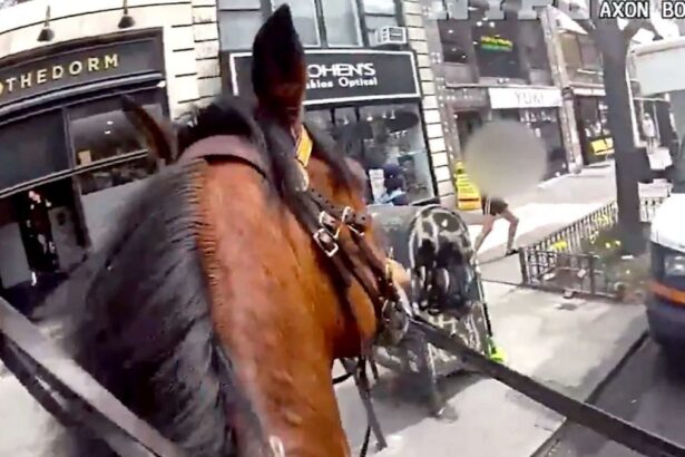 An NYPD mounted officer chased a thief through Manhattan on horseback