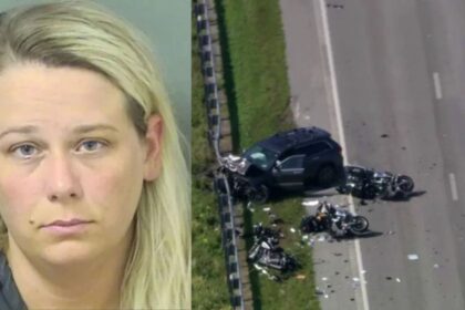 A Florida nurse claims that a McDonald's meal could have been the reason for her killing three police officers
