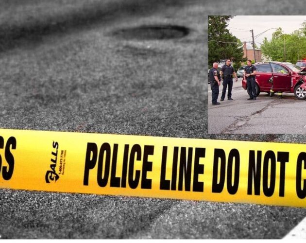 California Woman’s Disturbing Six-Word Statement Becomes Key Evidence in Fatal DUI Case