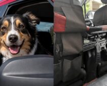 Nebraska Dog Shoots Woman at Red Light With Owner’s Shotgun—Here’s What Police Found at the Scene