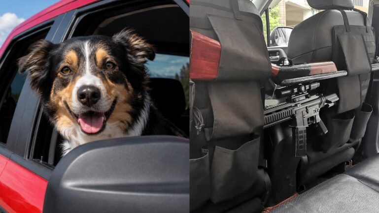 Nebraska woman shot after dog accidentally pulls trigger. (Image Credits-@Puppieslover/X)