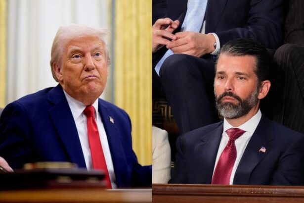 Donald Trump Jr's past comments come back to haunt him as the Iran war shows now signs of stopping