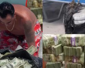Florida Man Discovers Millions in Floating Cash at Beach—But His Next Move Has Netizens Divided