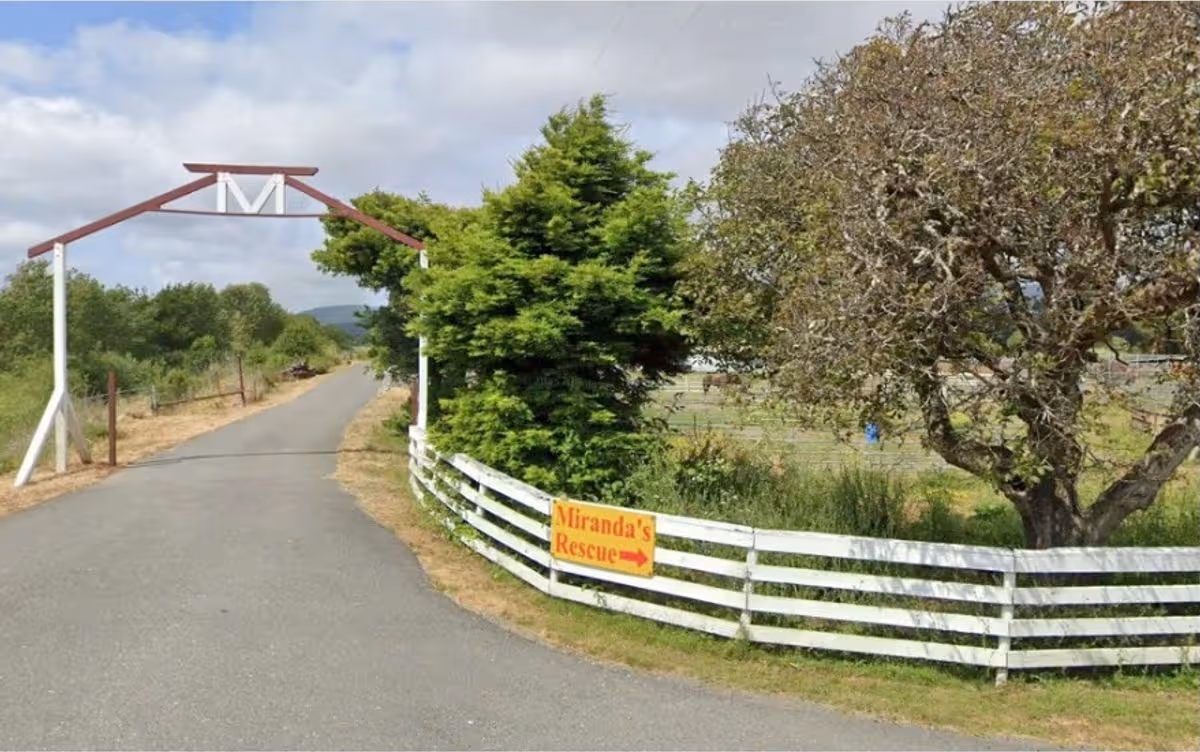 Shannon Miranda admitted that his Rescue is not truly a "no-kill" facility. (Image Credit: Google)