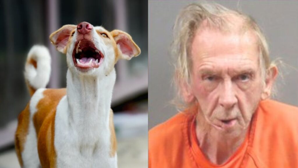 Mentally unstable Missouri man shoots a woman because of barking dog