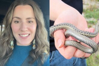 Montana content creator shows life inside a snake-infested farmhouse.