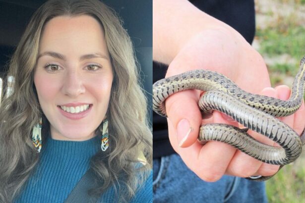 Montana content creator shows life inside a snake-infested farmhouse.
