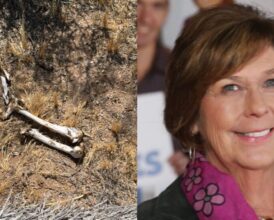Chilling Discovery of Human Bones Near Nancy Guthrie’s Home Takes Disappointing Turn