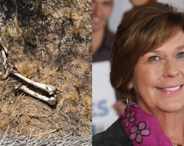 Chilling Discovery of Human Bones Near Nancy Guthrie’s Home Takes Disappointing Turn