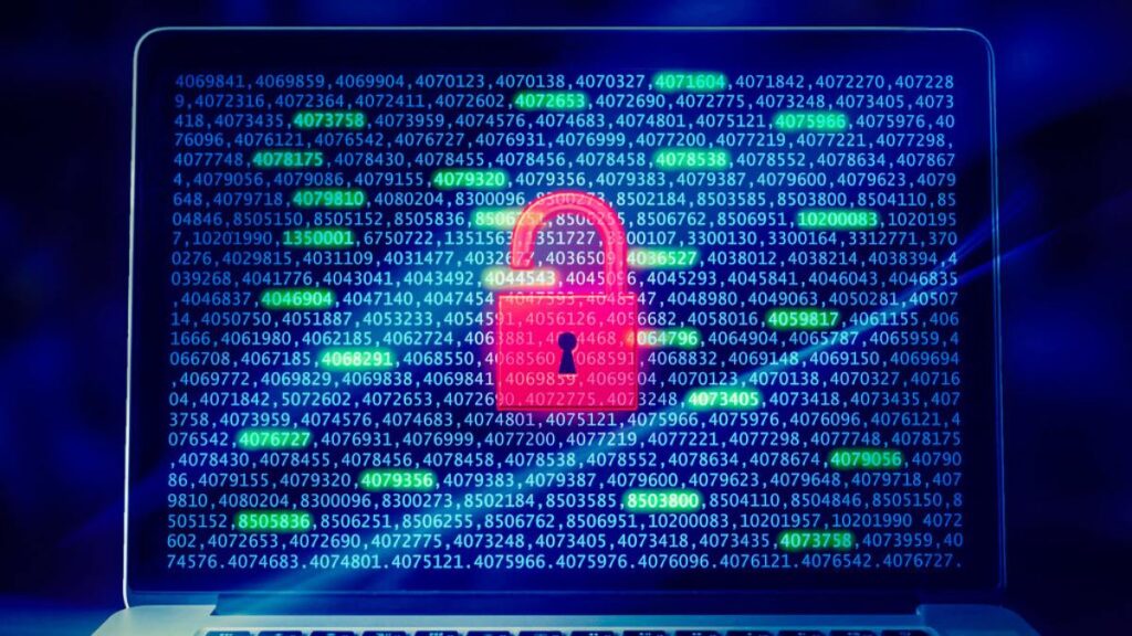Virginia man convicted in cyber fraud. (Image Credits-Openverse)