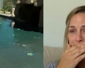 Utah Mom Yells ‘Can’t Get Her Back Alive’ After Toddler Fell In Pool—7-Year-Old Elder Sister Saves the Day With One ‘Brave’ Move