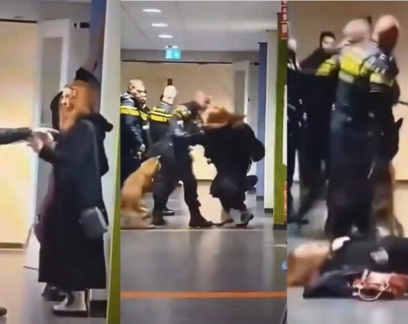 Cop Thrashes 9-Months-Pregnant Woman, Drags Her by the Hair at Asylum Center