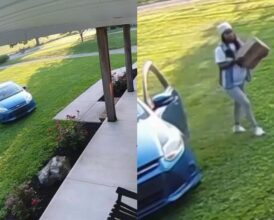 Wisconsin Homeowner’s Amazon Delivery Ends Up Destroying Lawn After Pregnant Driver Skips Driveway—Doorbell Cam Is the Only Witness