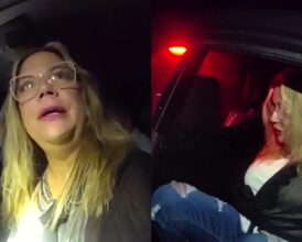 Florida Police’s Bodycam Video Shows Woman’s Wild DUI Stop Excuses Before Arrest — ‘I Have Double D…’