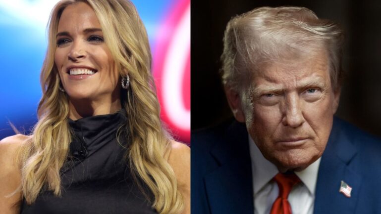 Megyn Kelly has made bold claims about GOP election fate.