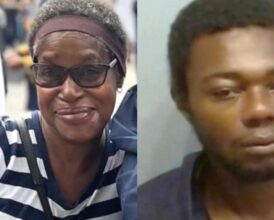 Stranger Stabs Great-Grandmother to Death on Train—Daughter Says ‘Nobody Was Helping Her’
