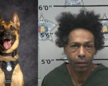 Alabama Man Bites Police K-9 During Drug Bust Arrest—Chilling Moment Caught on Body Cam Footage