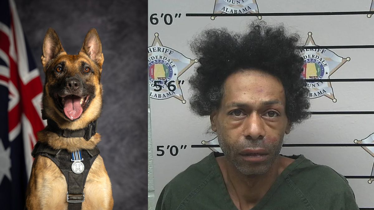 Alabama Man Bites Police K-9 During Drug Bust Arrest—Chilling Moment Caught on Body Cam Footage