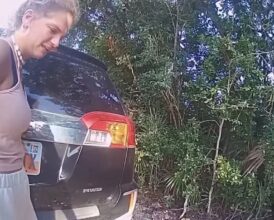 Police Bodycam Shows Entitled Impaired Woman Saying ‘I Saw It On TikTok’ During DUI Stop—And Her Dad’s Advice Makes It Worse